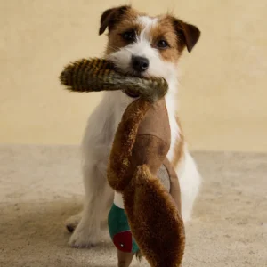 Joules Brown Pheasant Dog Toy