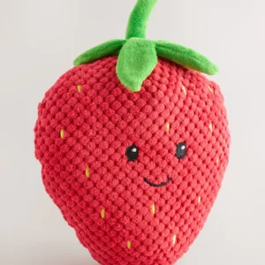 Strawberry Pet Toy